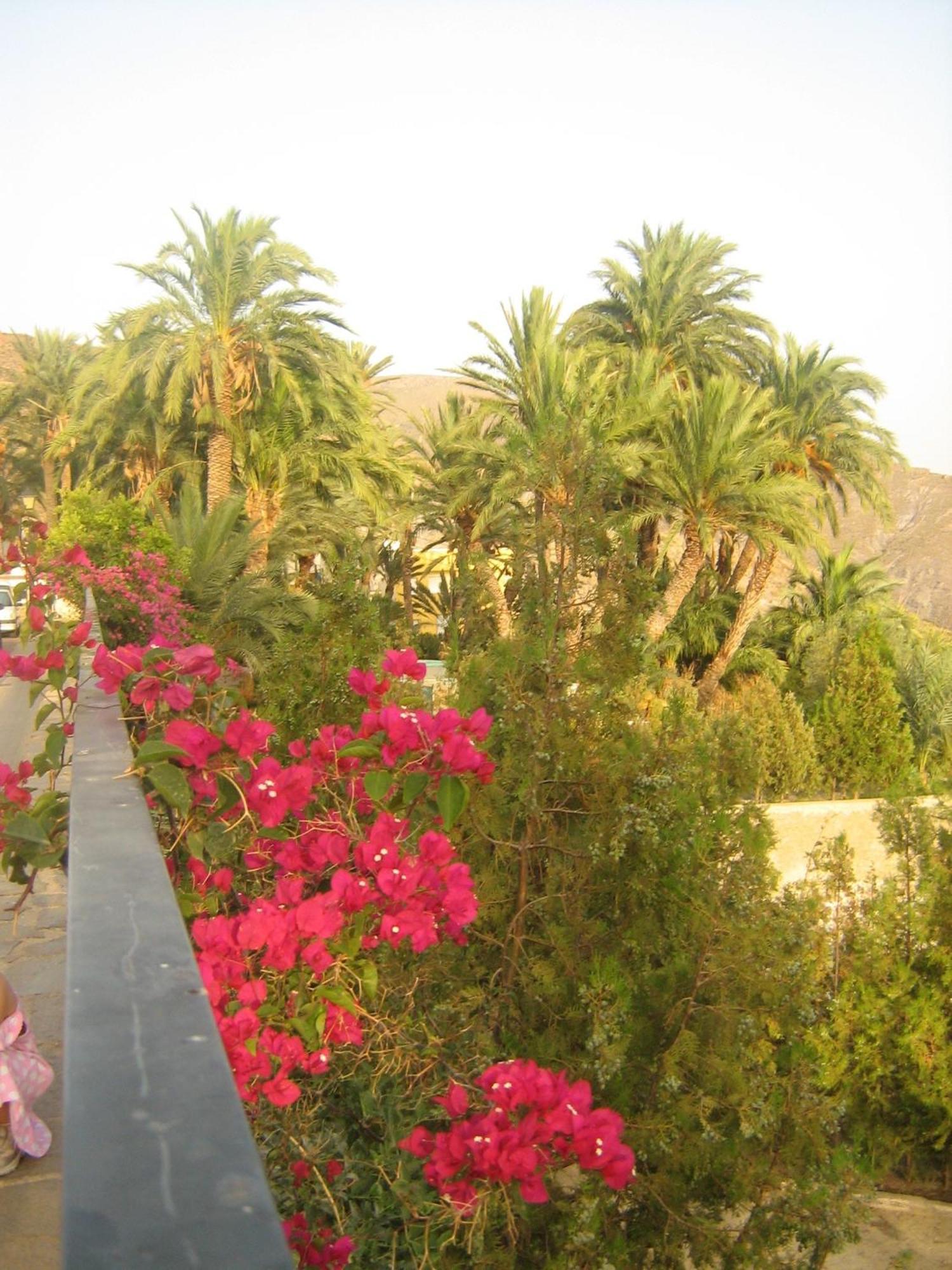 Hotel Balneario De Sierra Alhamilla Pechina Dış mekan fotoğraf
